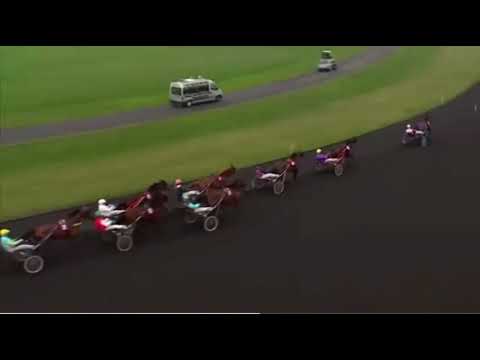 Prix Tenor De Baune Gr2 2013 - Raja Mirchi & Lutfi Kolgjini 1.12,8 2700m