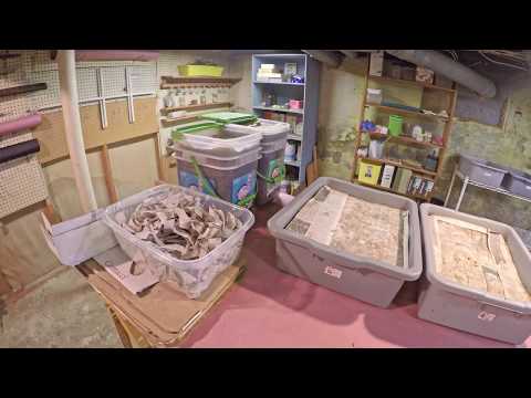 Last chance evac for worms in my vermicompost