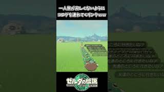 【ティアキン】大量のコログを馬で連れてくリンク【ゼルダの伝説 ティアーズ オブ ザ キングダム】