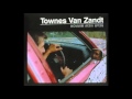 Townes Van Zandt For the Sake of the Song 