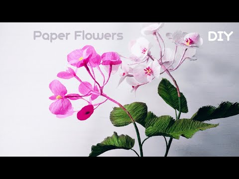 How To Make Dragon Wing Begonia Paper Flowers #Paperflowercraft #Paperflowertutorial #homedecoration