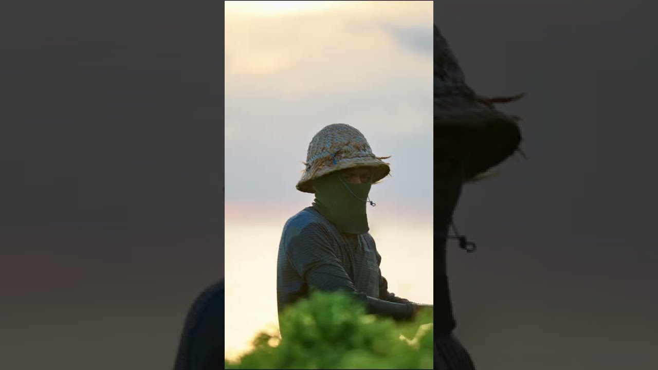 YouTube Short thumbnail