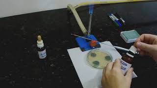 Preparo de lâmina para observação microscópica de fungos