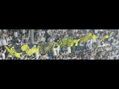 DFB-Pokal 1. FC Magdeburg vs. BVB  2. Halbzeit  Support