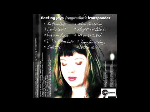 Fleeting Joys - Go and Come Back