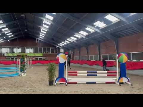 DHT 22-01-2026: Bling Lady, mare, 2021 by Baloutaire PS