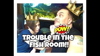 Trouble In Fish Room Paradise- The Queen is not happy!