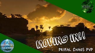 Moving in | ASA |Primal Chaos