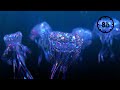 8D 8H Bilateral EMDR Theta Dreamscape 6 4hz Reality Shifting