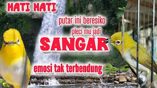 Download lagu pleci buxtoni gunkar isian tumpah mp3