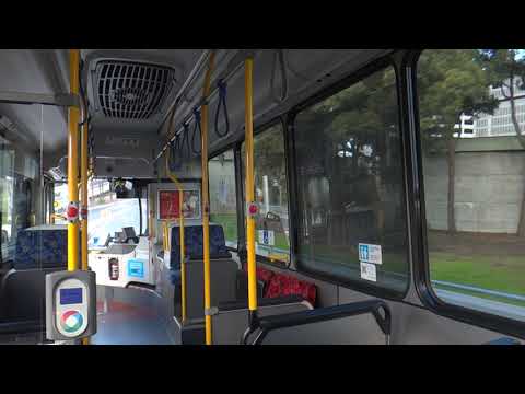 Volvo B7RLE (Custom Coaches CB80) - Sydney Buses Route 420 (Part Two, Transit Systems NSW)