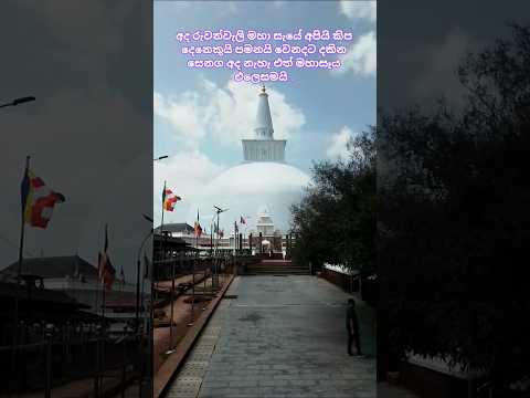 වර්ශාවෙන් පසු මහාසෑය 😳😲🙏Ruwanweli Maha Seya Temple after weather changes😲🙏#ruwanweliseya #weather