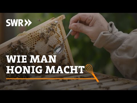 , title : 'Wie man Honig macht | SWR Handwerkskunst'