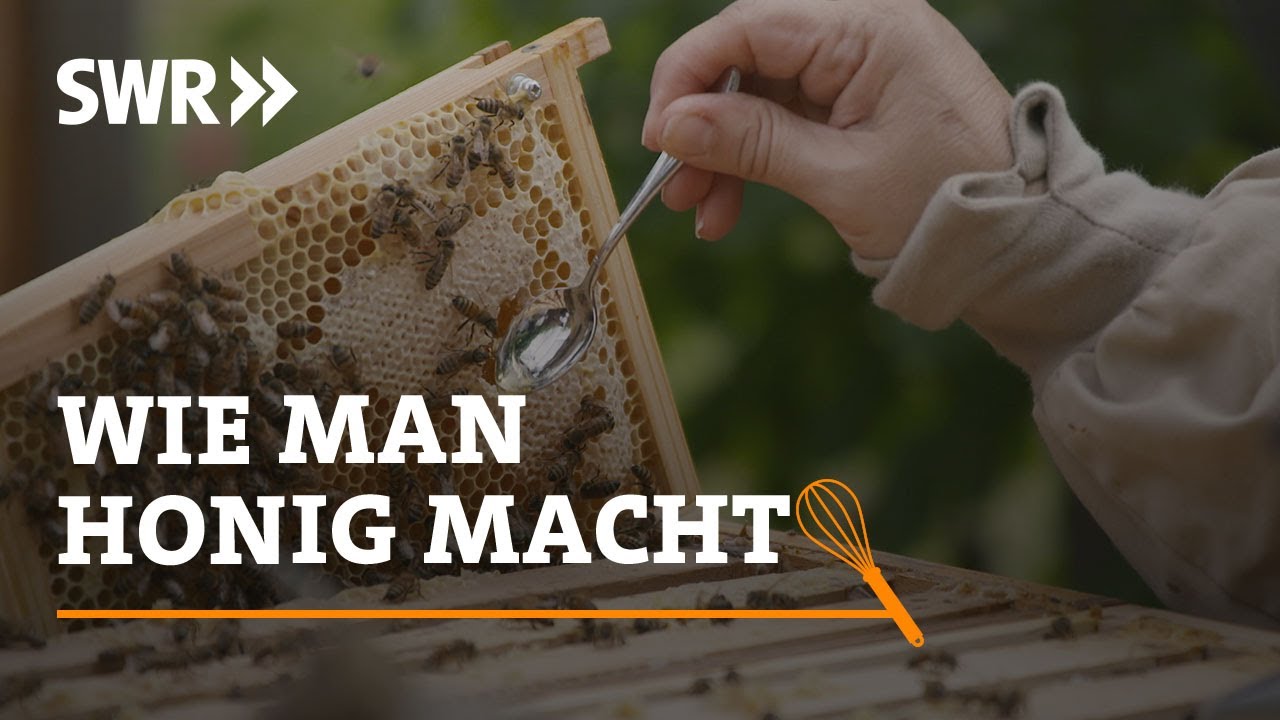 Wie man Honig macht | SWR Handwerkskunst