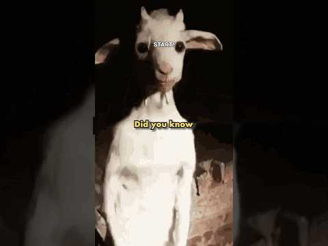 The reason the GOAT is a symbol of evil