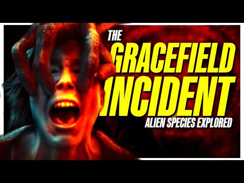 The Gracefield Incident BIGFEETS Aliens Explored | Alien Physiology Explained
