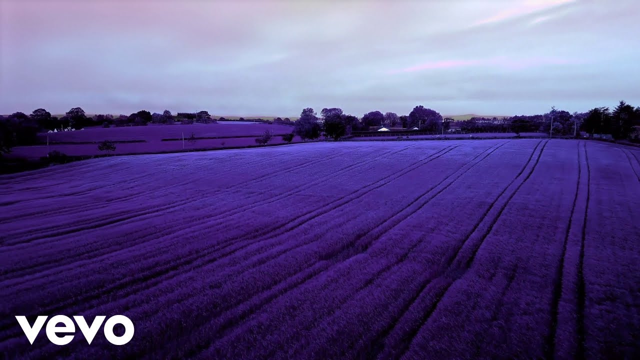 Roman Nagel - Questions solitaires... (Visualizer)