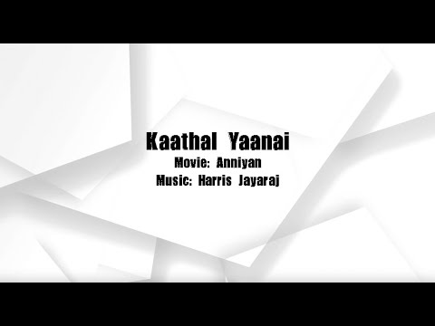 Anniyan - Kaathal Yaanai (Tamil Karaoke)