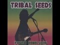 Tribal seeds-Tribal seeds (with lyrics)