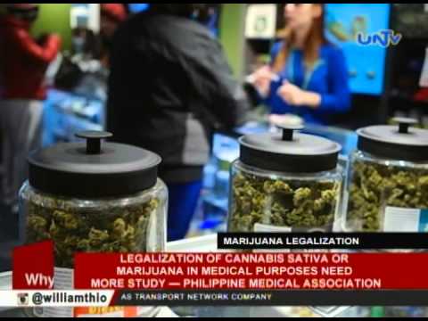 Legalization of cannabis sativa or marijuana in medical purposes need more study — PMA