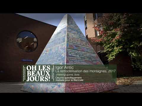 Biennale9  Igor Antic