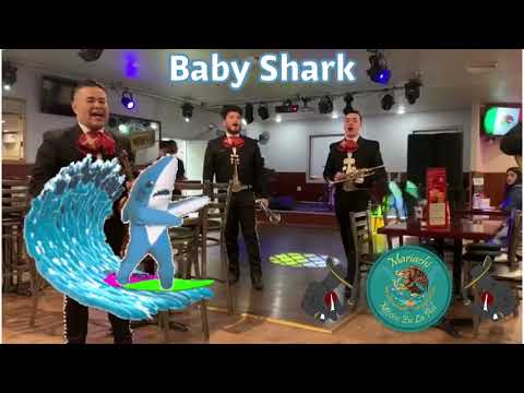 Baby Shark Mariachi Mexico En La Piel