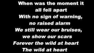 Wild At Heart - Birds Of Tokyo Lyrics