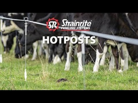 Strainrite Hotposts - Image 2