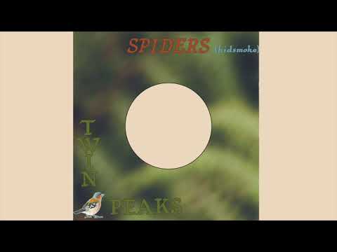Video thumbnail for Spiders (Kidsmoke)