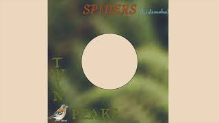 Twin Peaks - Spiders (Kidsmoke) -  Wilco Cover