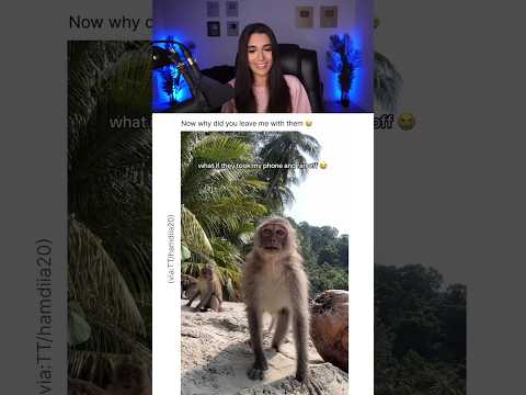 MONKEYS ALMOST STOLE HER PHONE.. 😭
