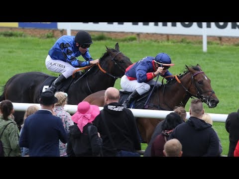 Hannover: Grosser Preis des Audi-Zentrums Hannover (Gruppe 3)