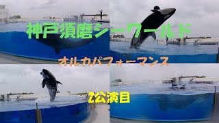 神戸須磨シーワールド　オルカパフォーマンス（シャチのショー）2公演目