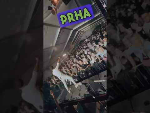 💥 #dobramrha #ludnica #domenkumerlive