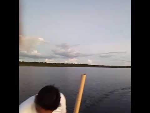 Festas da marujada de Glorioso são beneditino distrito de Ariaú- barreirinha Am