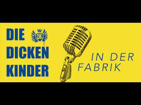 Die Dicken Kinder (Live)