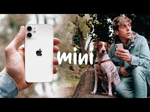 iPhone 12 mini review - (why YOU NEED one)