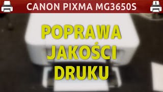 МФУ Canon PIXMA MG3650