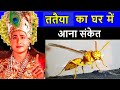 ततैया का घर आना संकेत क्या कहते श्री क�