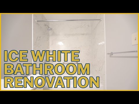 Nancy's Guest Bathroom Renovation in Alexandria, VA