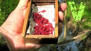 Как хранить мотыля для рыбалки летом