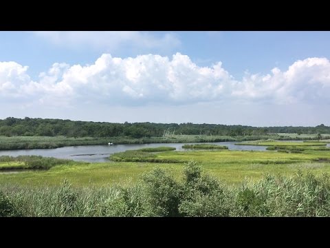 image-Is Bellport NY in the Hamptons?