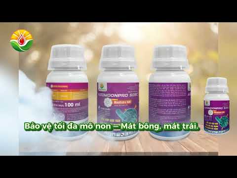 : Giải Pháp Đặc Trị Nấm Bệnh Thán Thư Kháng Thuốc Với MaxExtra 500 | GOAT NTN Việt Nam