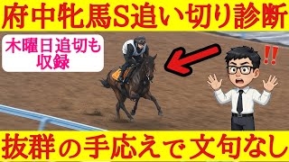 【府中牝馬ステークス2026】最終追い切り診断！1位評価は持ったままでグイグイと自発的に加速したあの馬！
