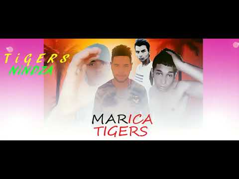 ROMANO RAP TIGERS (NINJA)