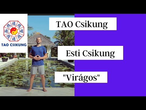 TAO Csikung - 12 perces esti csikung - a stressz átalakítására életerővé!
