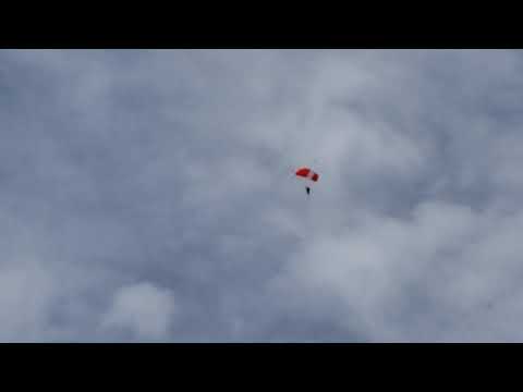 Strange "birds" - Skydive City is just up the road - you will see jumpers on low wind and clear days. Book a jump for a grand adventure!