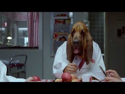 ICA reklamfilm 2011 v.42 - Vilket Hundliv (HD)