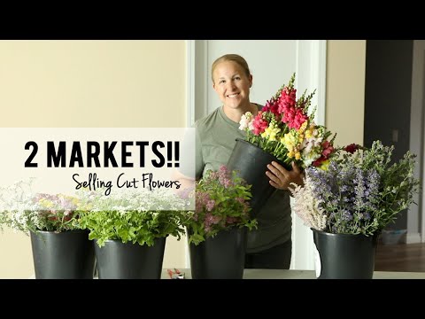 Two Market in One Week!!!  Selling Cut Flowers are the Farmer's Market, Sunshine and Flora