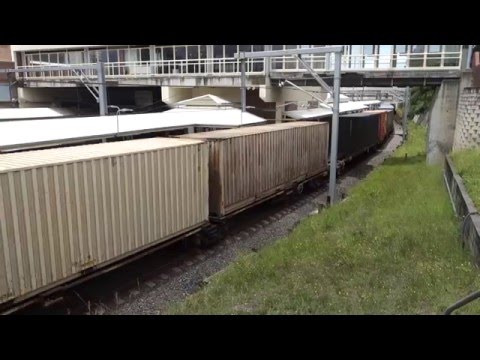 NR84 (Southern Spirit) / DL44 and NR41 with 3MB4 - 7/1/16